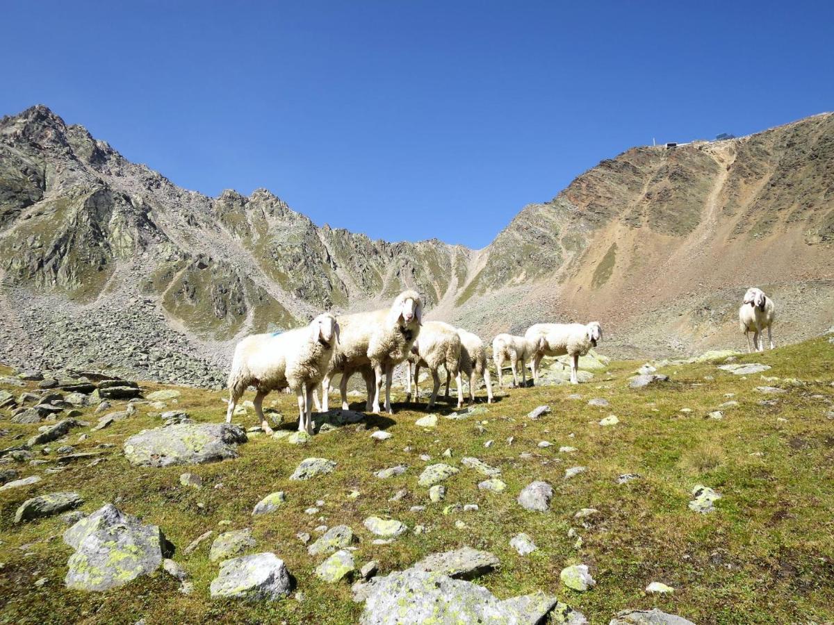 Apartment Appartment Wildmoos - Soe315 By Interhome Зёльден Экстерьер фото